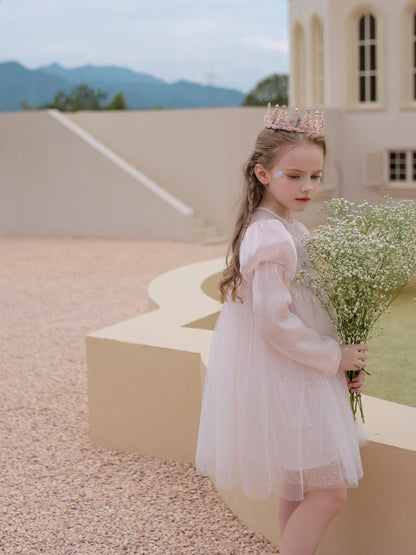 Long Sleeve Pink Princess Dress