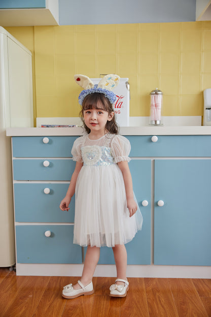 Little Princess Dress