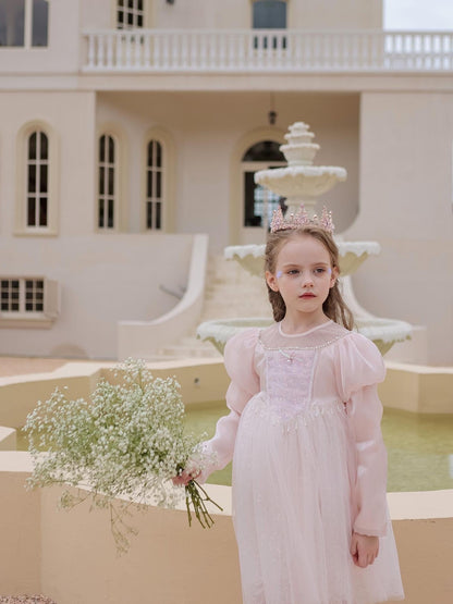 Long Sleeve Pink Princess Dress