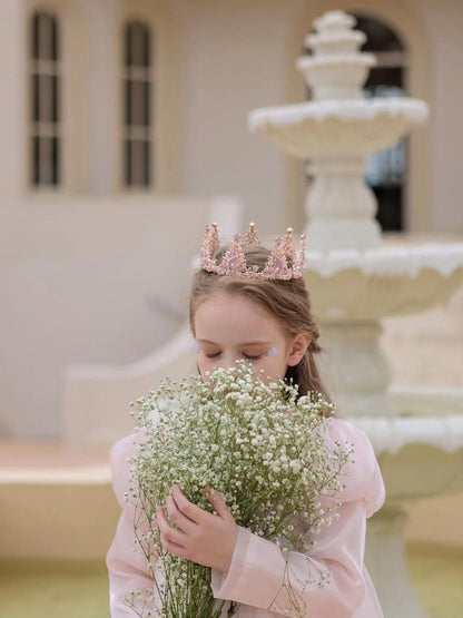 Long Sleeve Pink Princess Dress